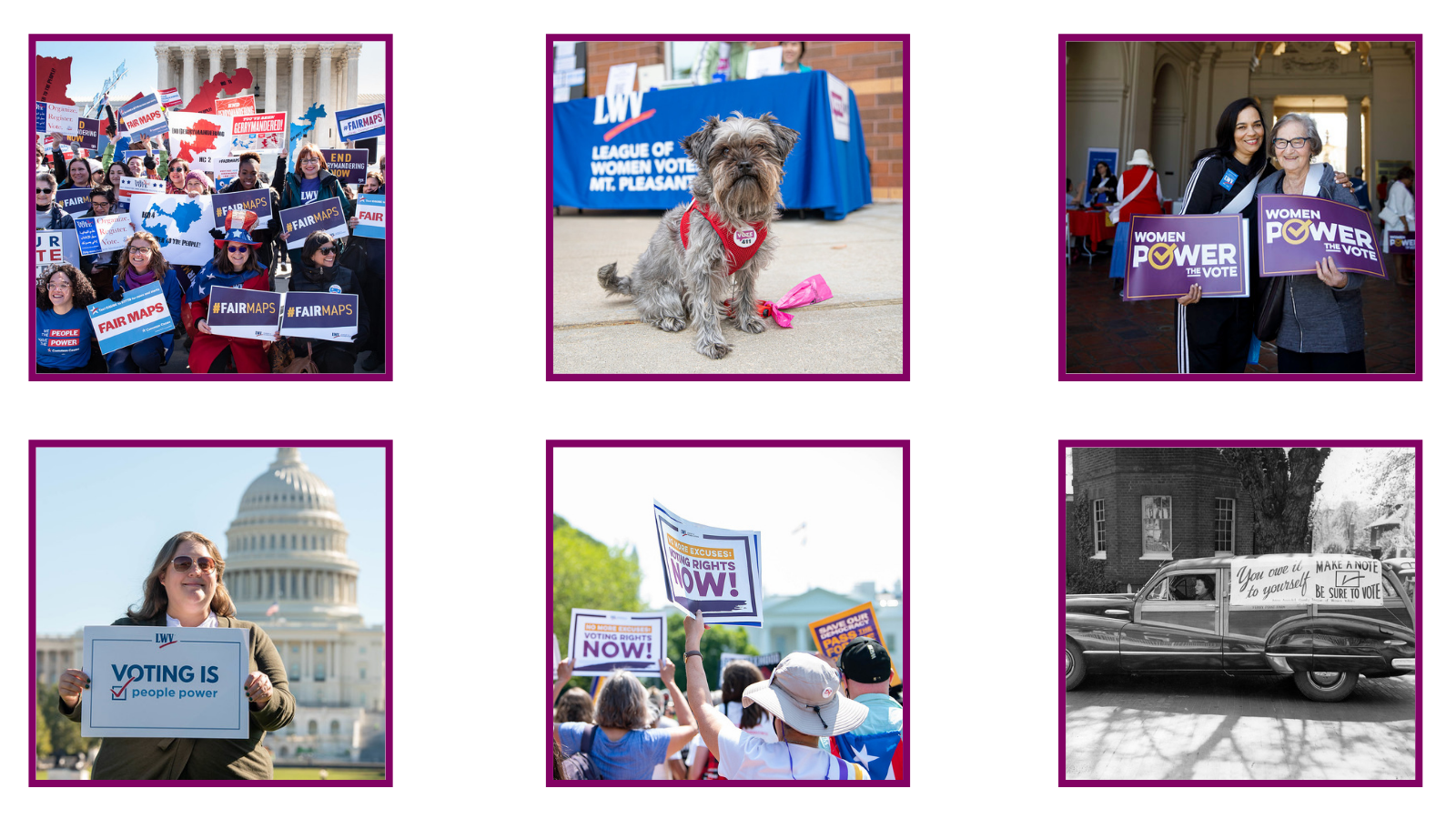 Collage of images from LWVUS flickr site
